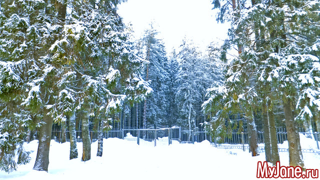 � �� �������� - ������ ���... �� �� ������ ����