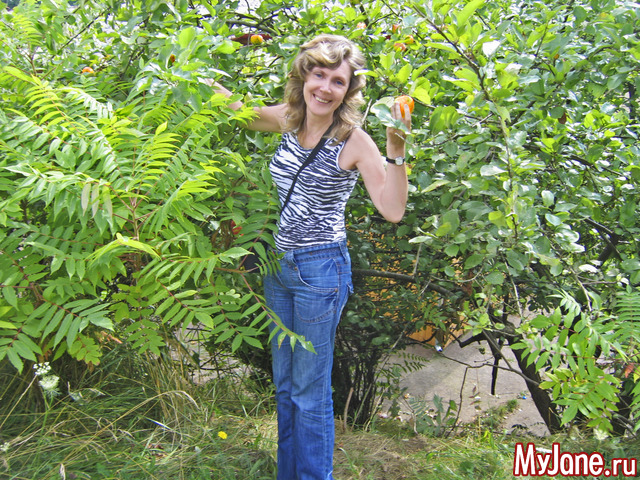 ������ � �����