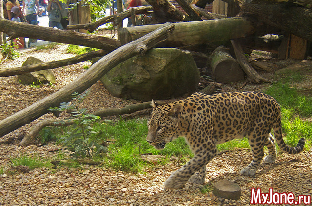 ������ � �����