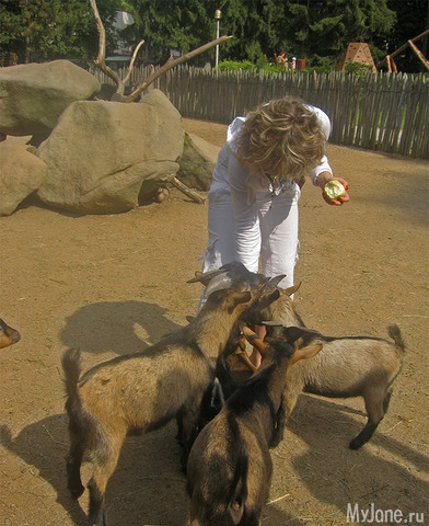 ������ � �����