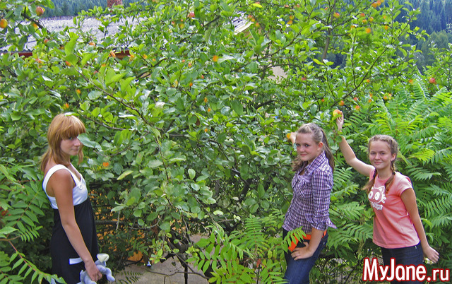 ������ � �����