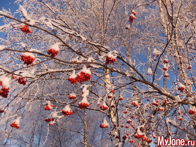 �������-����