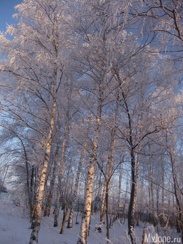 �������-����