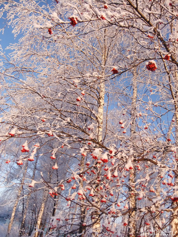 �������-����