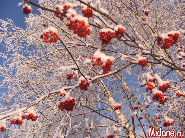 �������-����