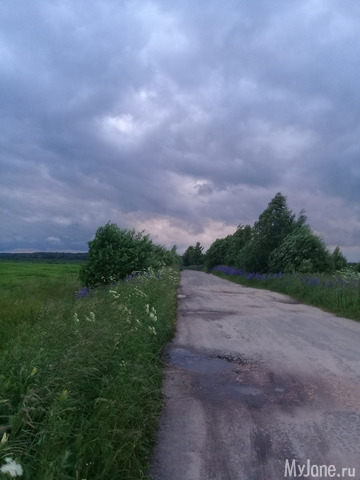 ������ �������