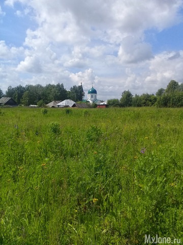 ������ �������