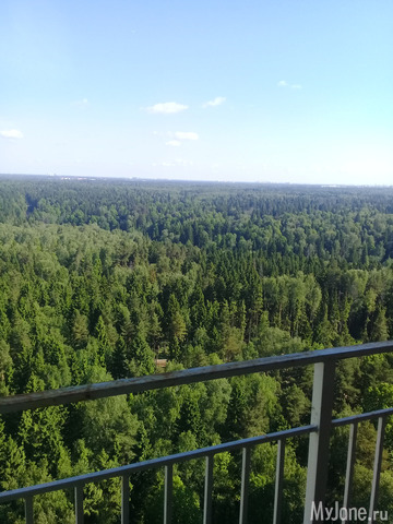 ������ �������