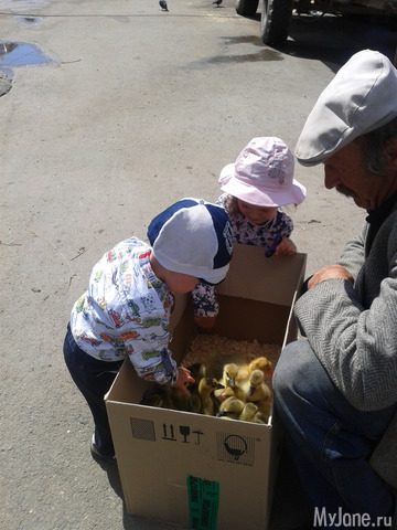 ������ �����, ������ �������!