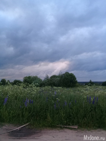 ������ �������