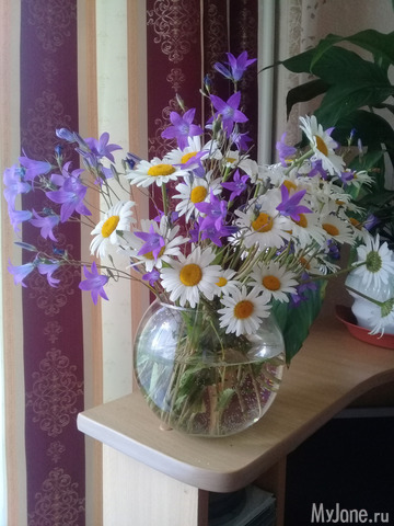 ������ �������