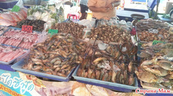   , .    &quot;   &quot;