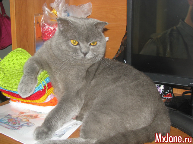 ���, ������ ���.