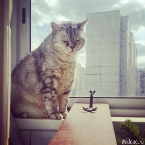 ������ ��������� ����� � ���� ����