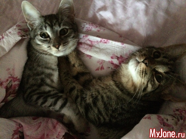 ���� �������!