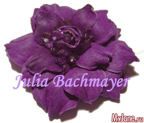 �������� "���������"