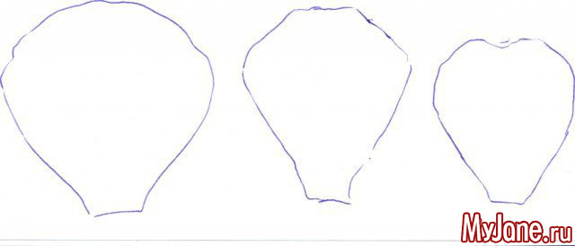 �������� "���������"