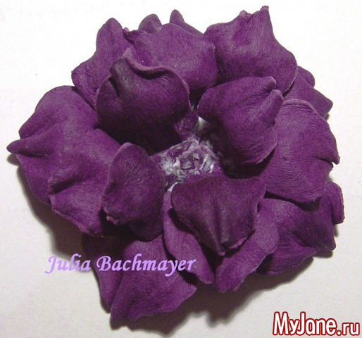 �������� "���������"