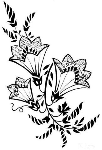 ���������