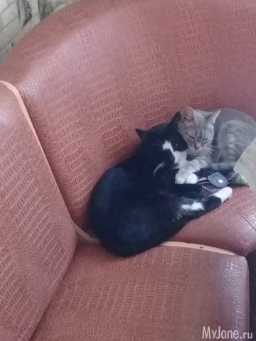 ���� � �����.