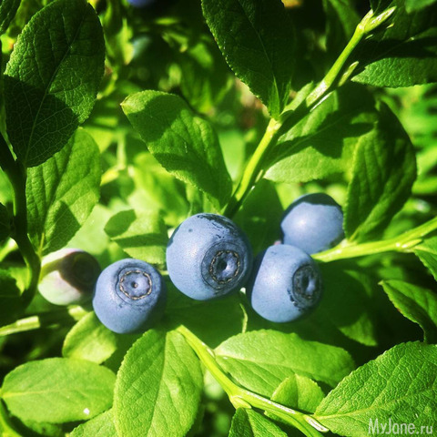 ���� � ��� ��� ���