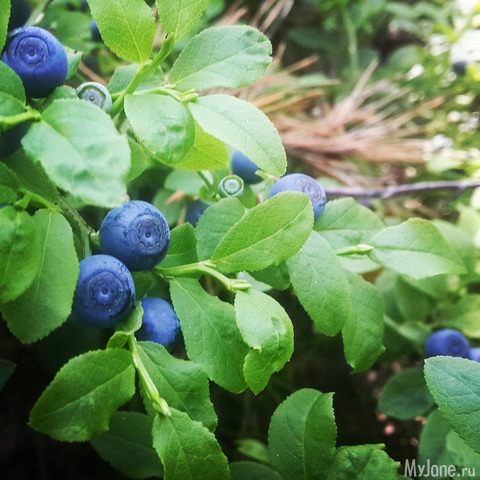 ���� � ��� ��� ���