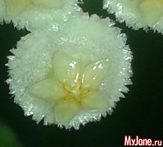 ��������� ��������