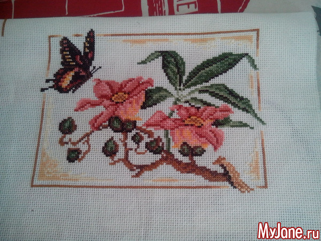 �������,��� ������