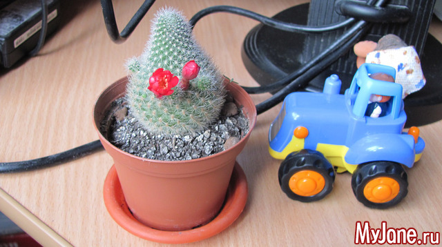 ����� � ��� ����.