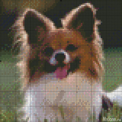 ��� �����