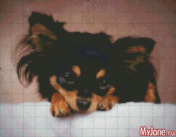 ��� �����