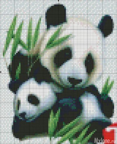 ��� �����