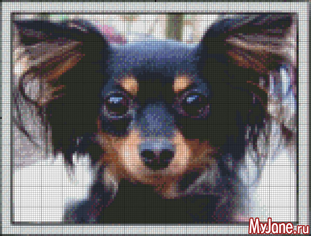 ��� �����