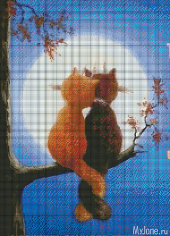 ��� �����