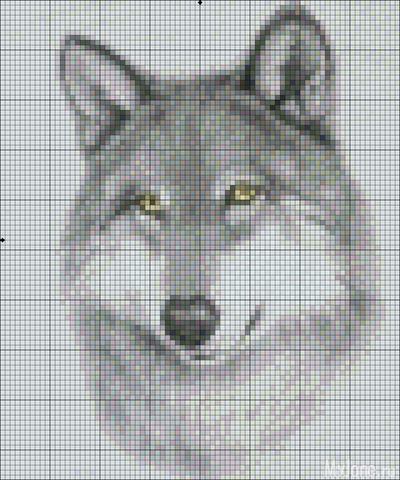 ��� �����