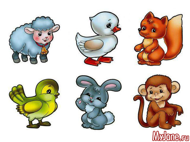 ��� �����