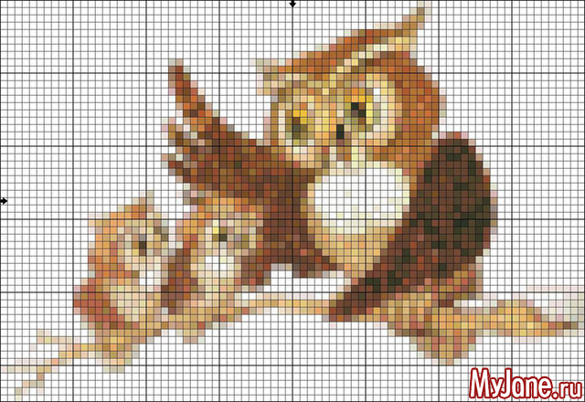 ��� �����