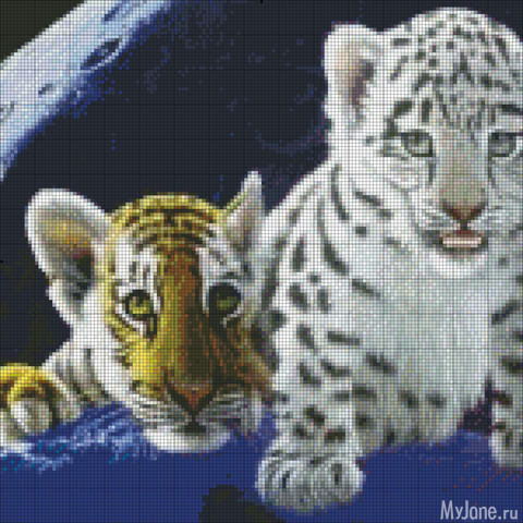 ��� �����