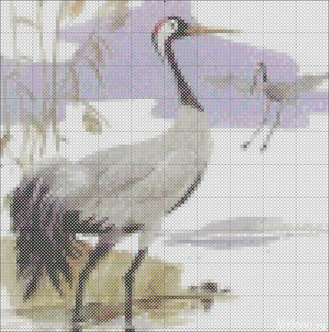 ��� �����