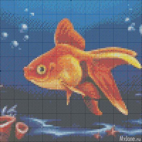 ��� �����