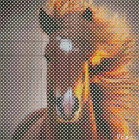 ��� �����