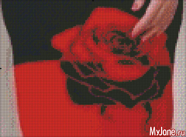 ��� �����