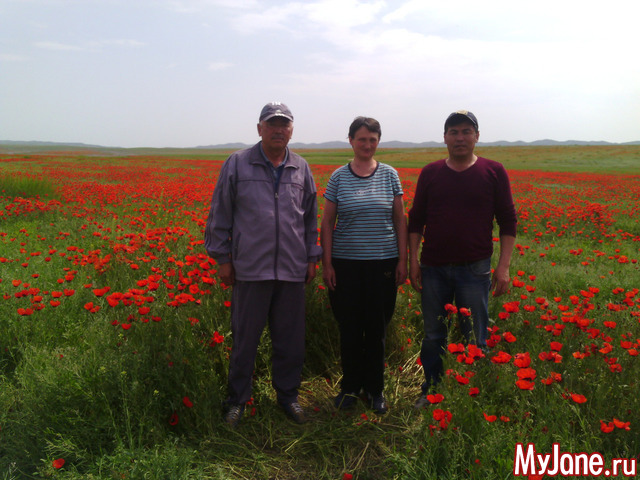 ��� 2016 �. ���� �����.