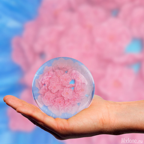 ������_���