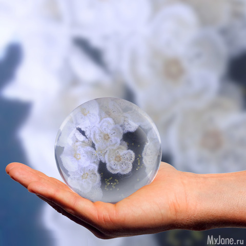 ������_���