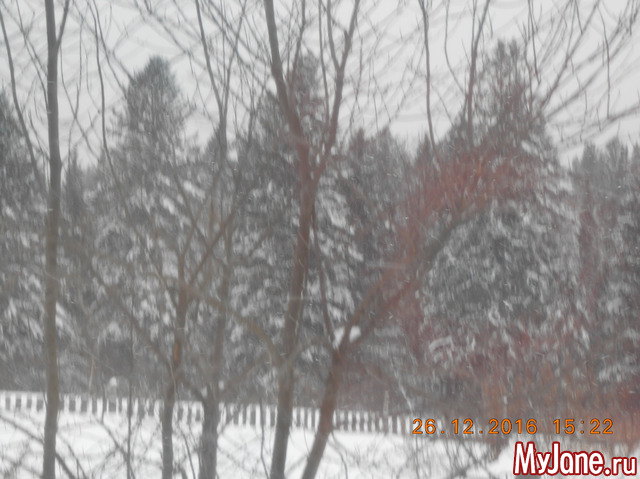 ����� ���������...