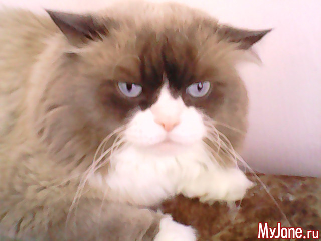 ��� �����.