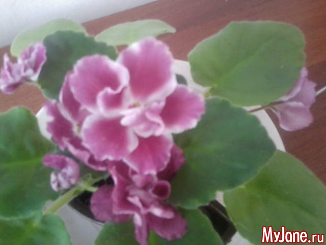 �������.