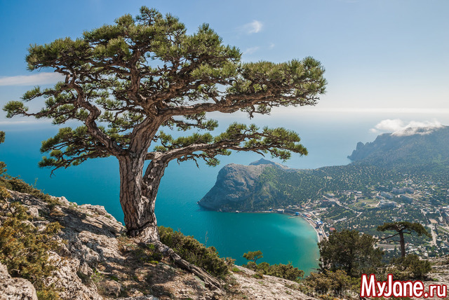 ����� � �����  ����� ����