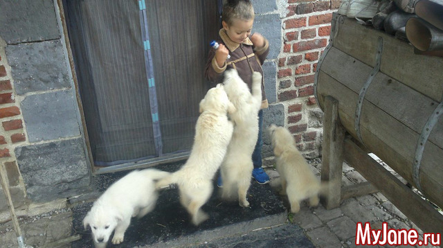 08-10-2017 ���������